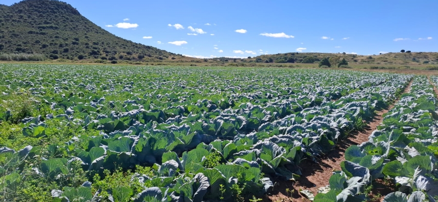 3 Bedroom Property for Sale in Bloemfontein Rural Free State